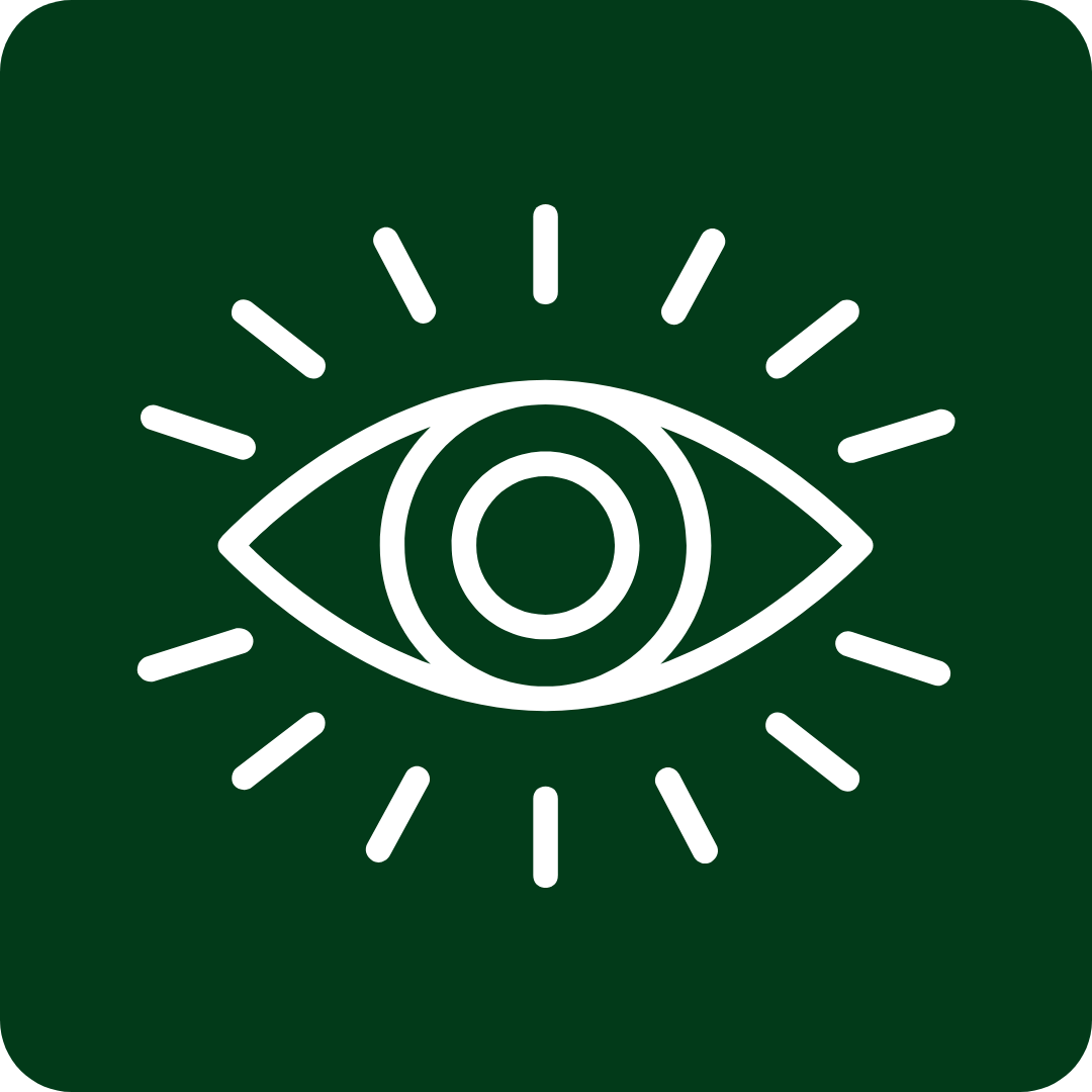 Vision Support