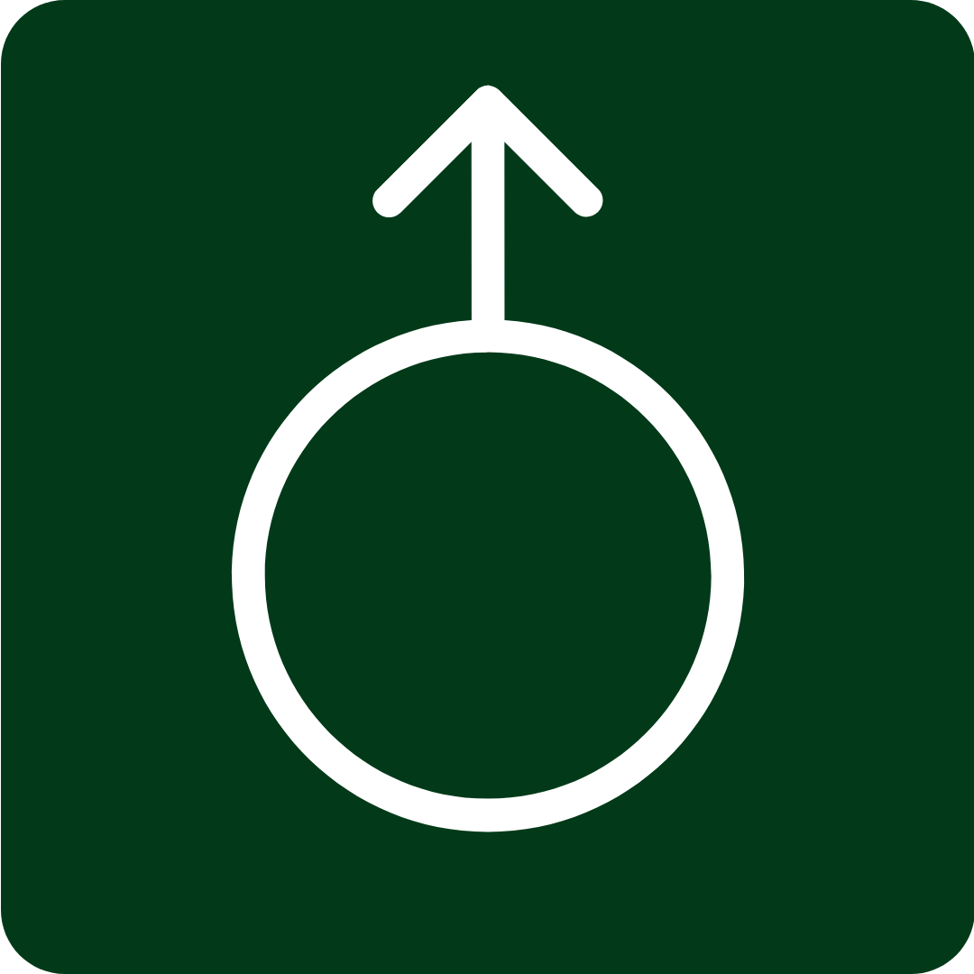 Men’s Vitality